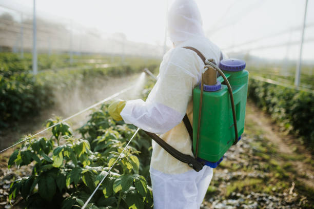 Best Pest Removal Services  in Downingtown, PA